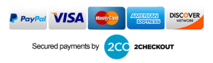 secure payments with paypal and debit card